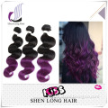 Alibaba Express Ombre Purple Brazilian Hair Bundles, Wholesale Brazilian Hair, 8a Grade Brazilian Virgin Hair